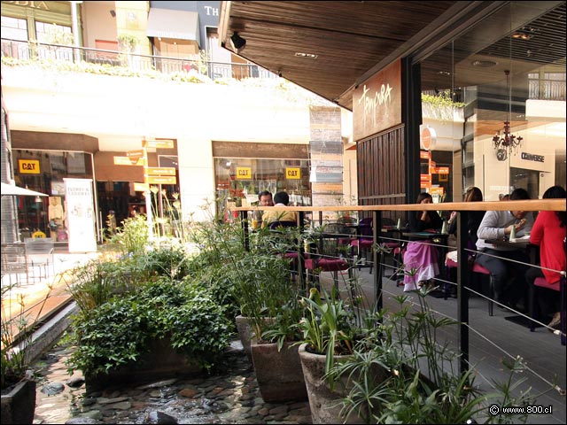 Restaurante Tempura Parque Arauco