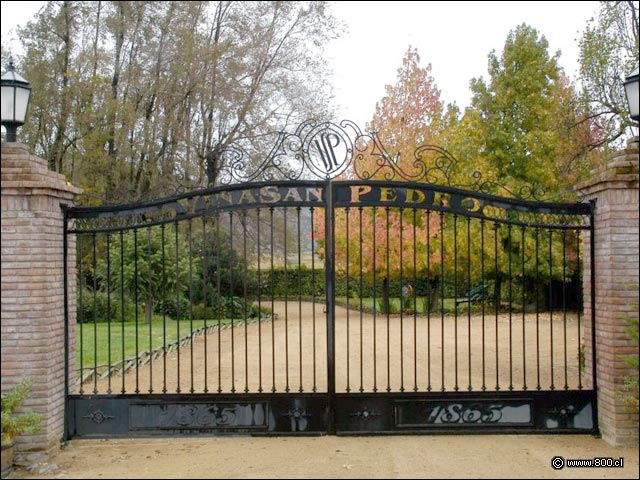 Entrada - Bodega de la Via San Pedro (Valle del Maule)