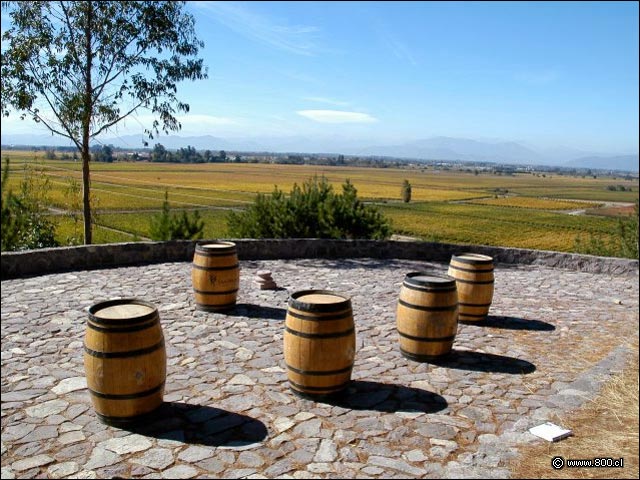 Vista superior de la Via - Bodega de la Via San Pedro (Valle del Maule)