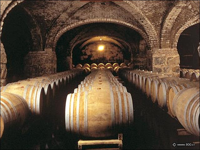 Cava subterrnea  - Bodega de la Via San Pedro (Valle del Maule)