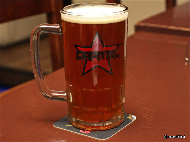 Shop Capital Amber Ale - DoceTrece - Tobalaba