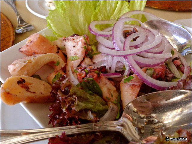 Cebiche de Pulpo - Giratorio