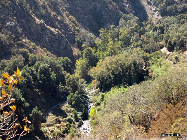 Puente colgante vista 2 desde arriba  - Parque Natural Aguas de Ramn