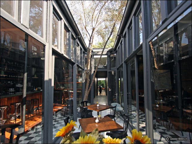 Fotos del restaurante y bar Casa Luz en Barrio Italia