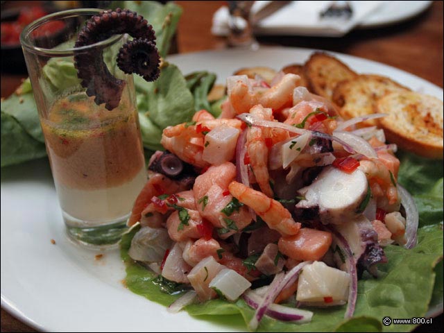 Ceviche Mixto del restaurante Caleta Lastarria - Caleta Lastarria