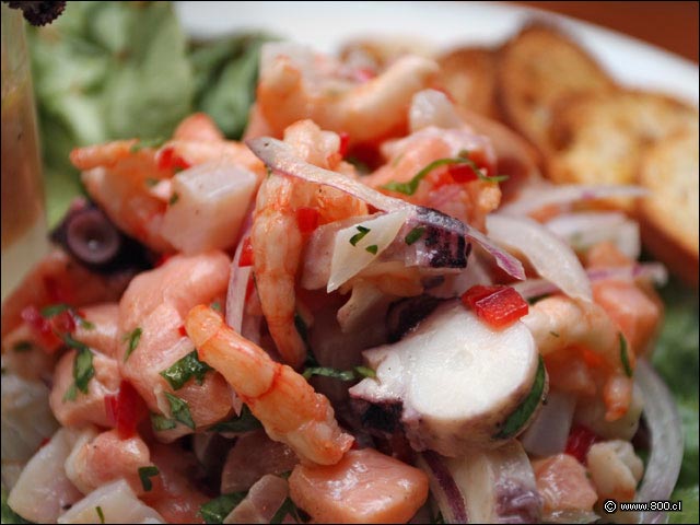 Pulpo, salm�n, corvina, pangasio y camarones en Ceviche Mixto - Caleta Lastarria