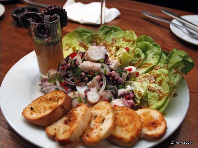 Ceviche de Pulpo del restaurante Caleta Lastarria - Caleta Lastarria