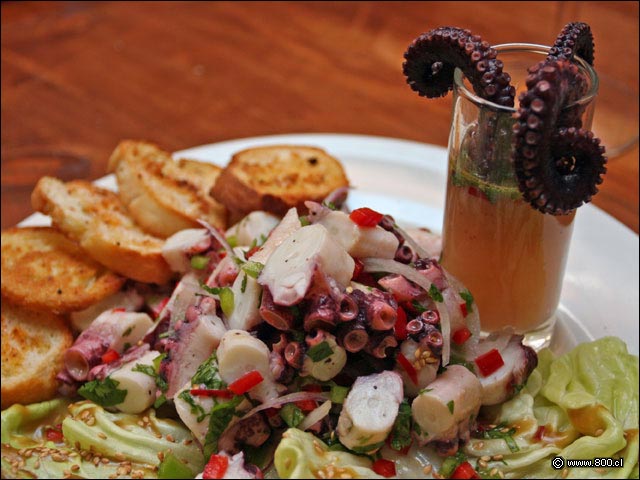 Detalle de Ceviche de Pulpo  - Caleta Lastarria