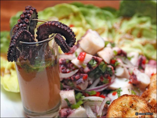 Tent�culos de pulpo sobre leche de tigre de Ceviche de Pulpo - Caleta Lastarria