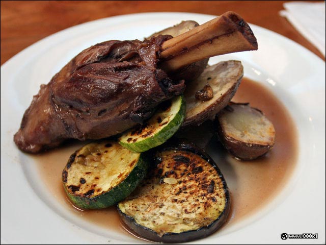 Garr�n de Cordero - Caleta Lastarria