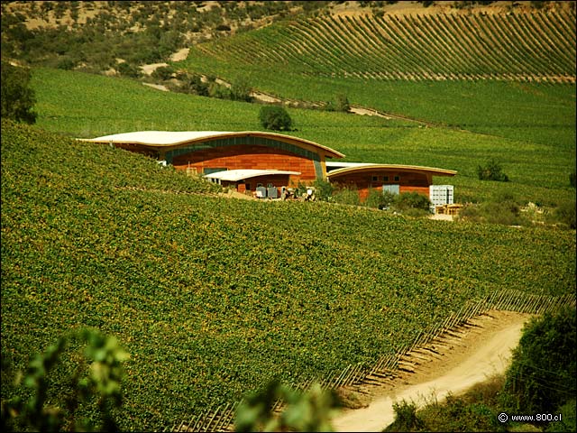 Bodega y Viedo - Via Chocaln