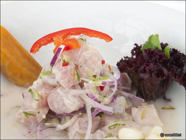 Primer plano de Cebiche de corvina con cebolla morada, choclo y camote - Cebicher�a Constituci�n
