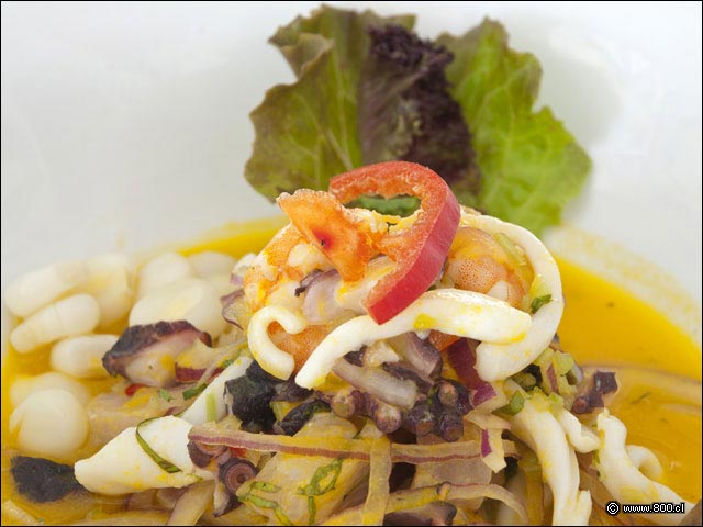 Cebiche Mixto del restaurante Cebicher�a Constituci�n - Cebicher�a Constituci�n