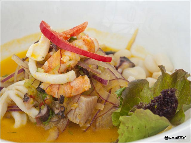 Primer plano de Cebiche Mixto con pulpo, calamares, reineta y camar�n - Cebicher�a Constituci�n