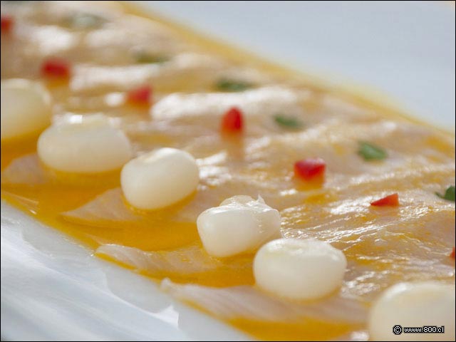 Primer Plano de Tiradito de Reineta - Cebicher�a Constituci�n