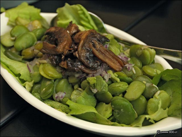 Ensalada de Habas - Santa Brasa Costanera Center