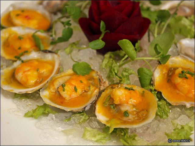 Ostras con Camarn aliadas con salsa picante - Alfresco (Las Condes)