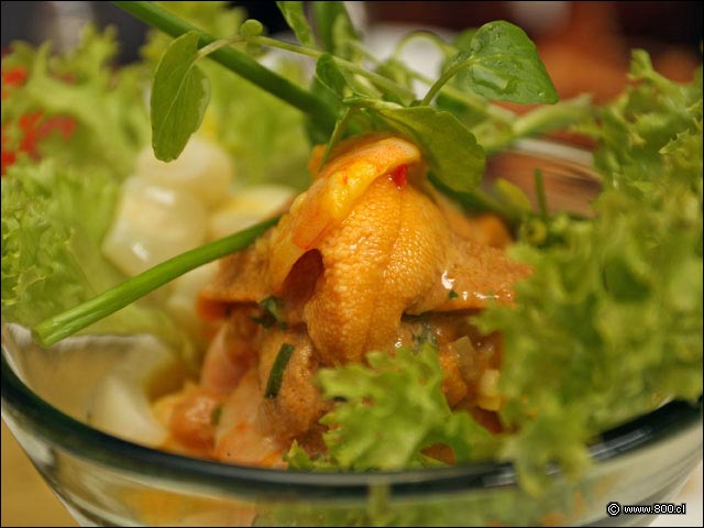 Lenguas de Erizos y colas de Camarn en Cebiche Asesino - Alfresco (Las Condes)