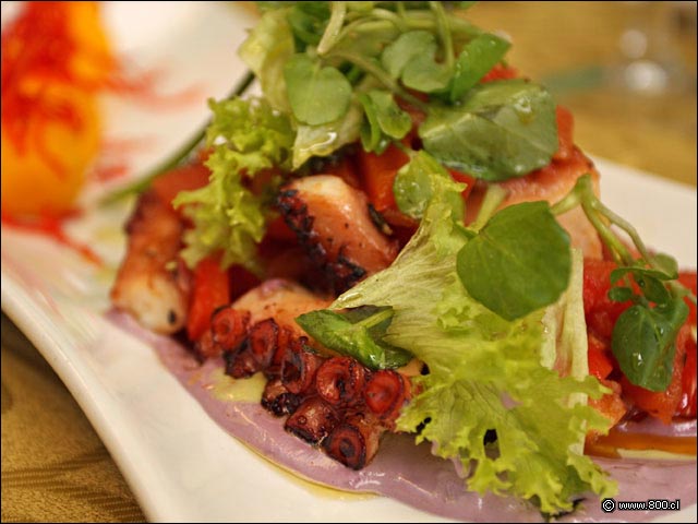 Tentculos de pulpo a la grilla en Pulpo Crocante - Alfresco (Las Condes)