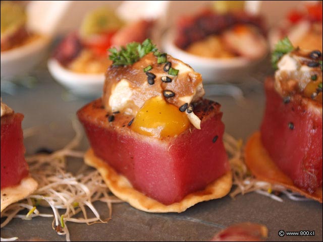 Tataki de At�n - House - Casa del Vino