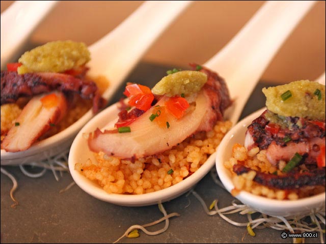 Pulpo sobre Qu�noa - House - Casa del Vino