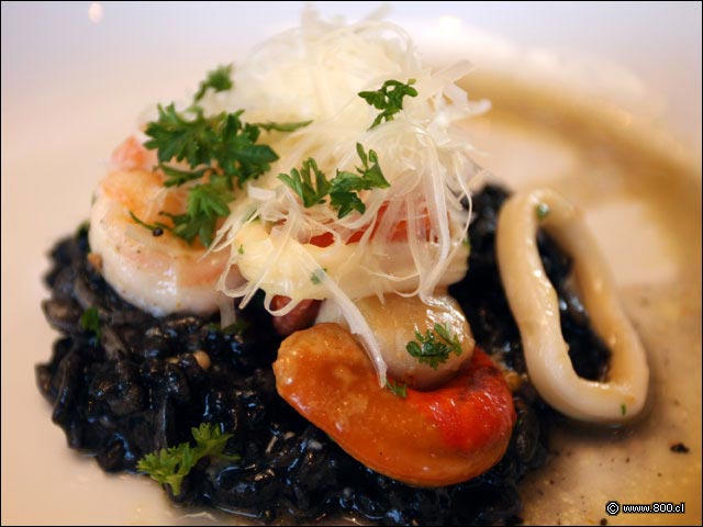 Risotto Negro - House - Casa del Vino