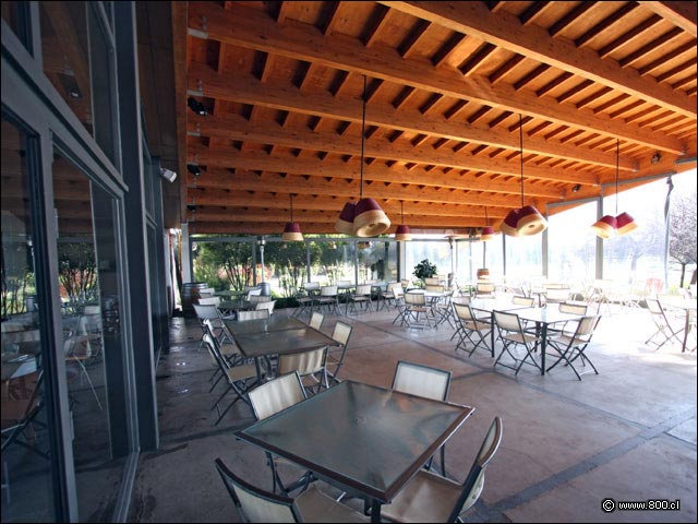 Terrazas 1 - House - Casa del Vino