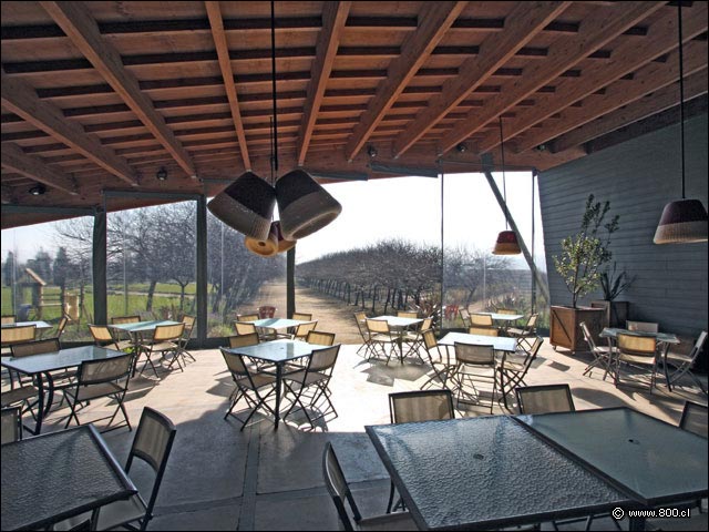 Terrazas 2 - House - Casa del Vino