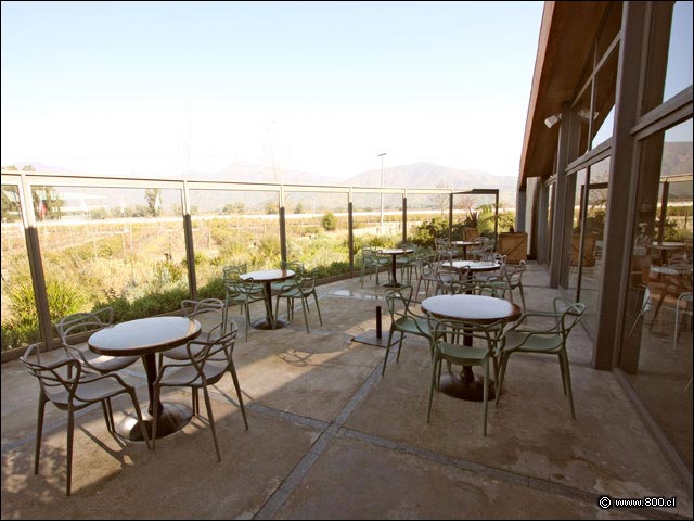 Terrazas 3 - House - Casa del Vino