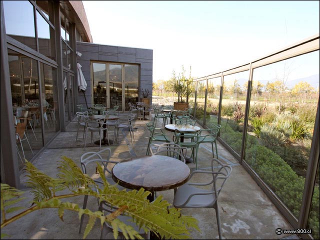 Terrazas 4 - House - Casa del Vino