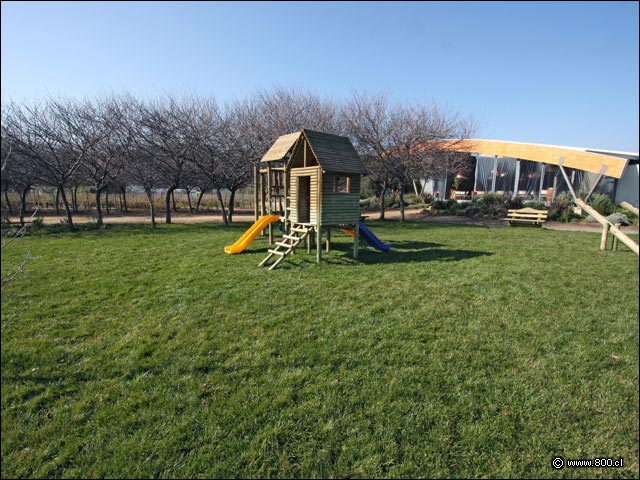 Zona para Picnic - House - Casa del Vino