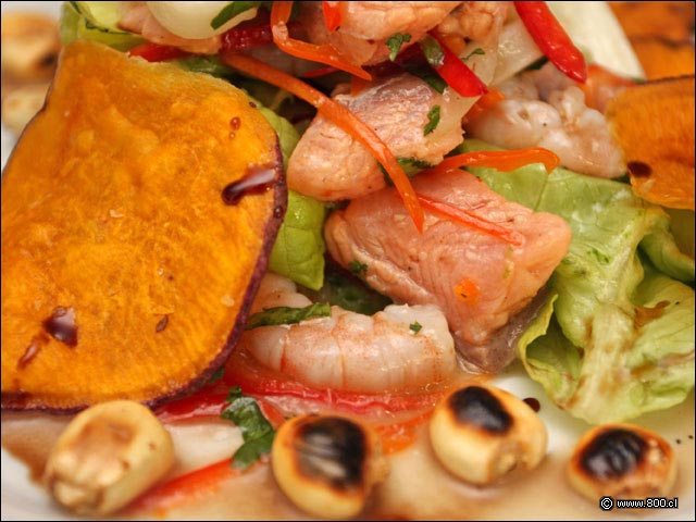 Salm�n, Calamares y Camarones en Cebiche - Amaranto
