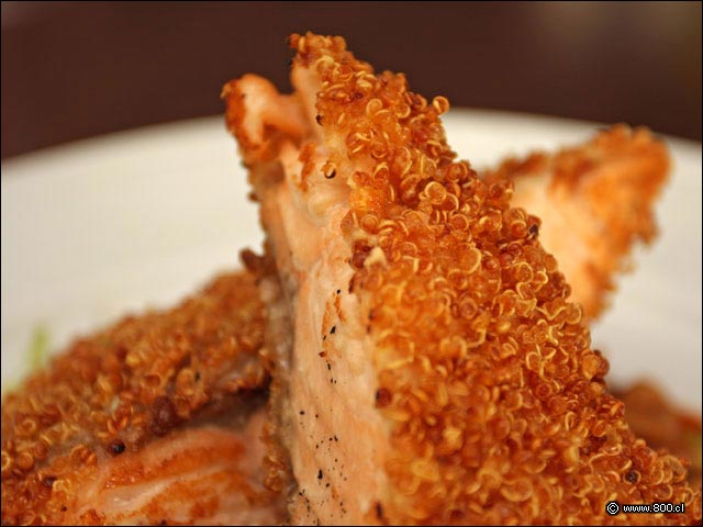 Promer Plano de Salm�n Encostrado en Qu�noa - Amaranto