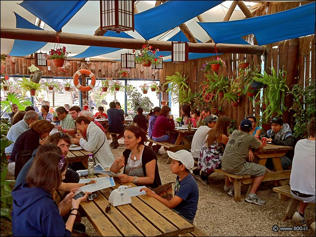 Terraza interior techada
