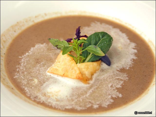 Sopa de Shitake - El Cid - Hotel Sheraton