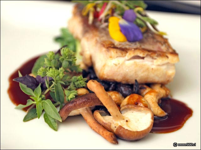 Hongo asiticos acompaando a Filete de Corvina - El Cid - Hotel Sheraton