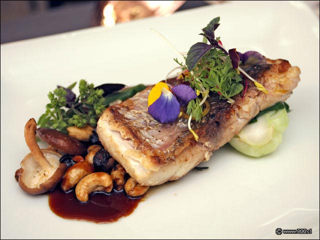 La floral decoaracin del Filete de Corvina en Confit Asitico - El Cid - Hotel Sheraton