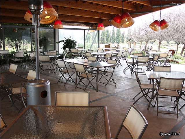 Comedor 4 - House - Casa del Vino