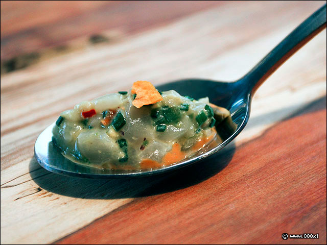 Cebiche de Ostiones - House - Casa del Vino