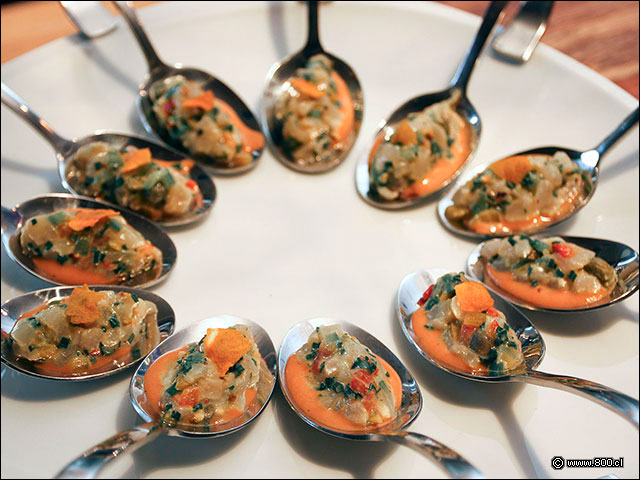 Cebiche de Ostiones en c�cotel - House - Casa del Vino