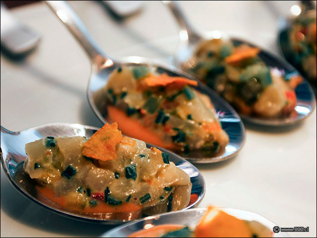 Detalle de Cebiche de Ostiones - House - Casa del Vino