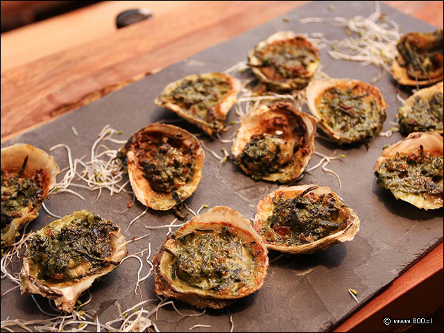 Ostras Rockefeller  - House - Casa del Vino