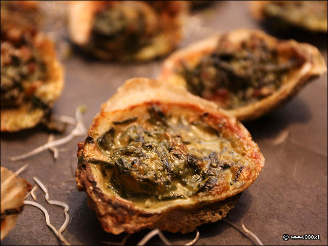 Ostras Gratinadas con Espinacas - House - Casa del Vino