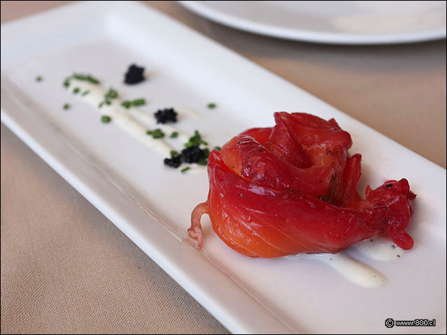 Gavlax de Salm�n - House - Casa del Vino