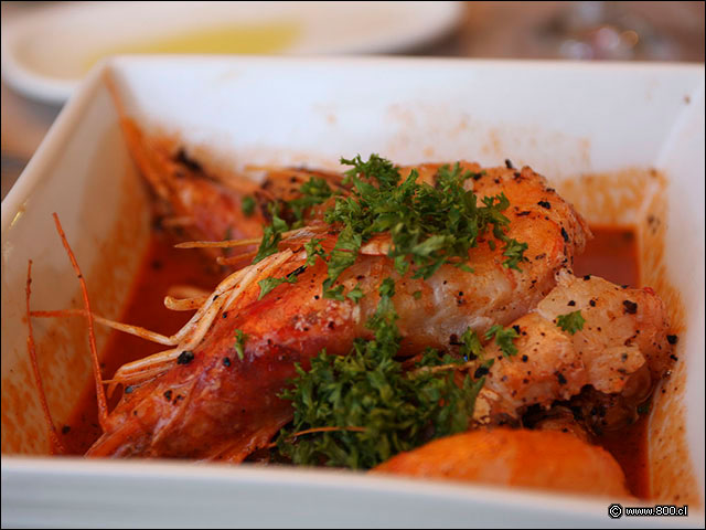 Camar�n Jumbo - House - Casa del Vino