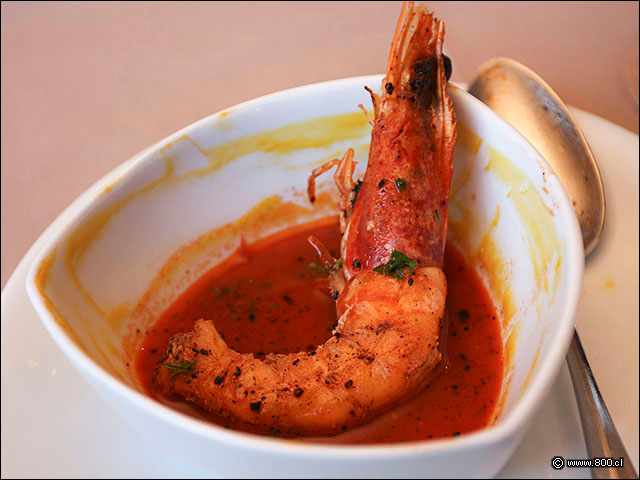 Camar�n en su caldo - House - Casa del Vino