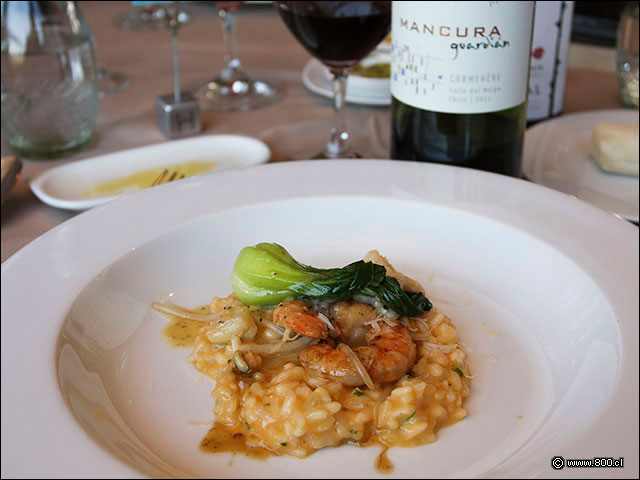Risotto con crema de Langosta, Brotes de Alfalfa y Pock Choy, Camar�n y Cangrejo - House - Casa del Vino