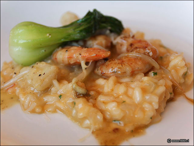 Detalle de Risotto con crema de Langosta - House - Casa del Vino