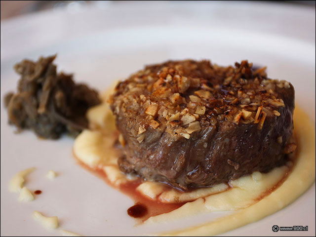 Costra de Man� y Almendras en Filete - House - Casa del Vino