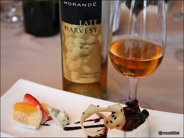 Panna Cotta de Uvas y Pasas - House - Casa del Vino